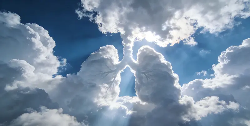 百色肺癌靶向39基因检测及PDL122C3表达检测套餐（组织）图片1