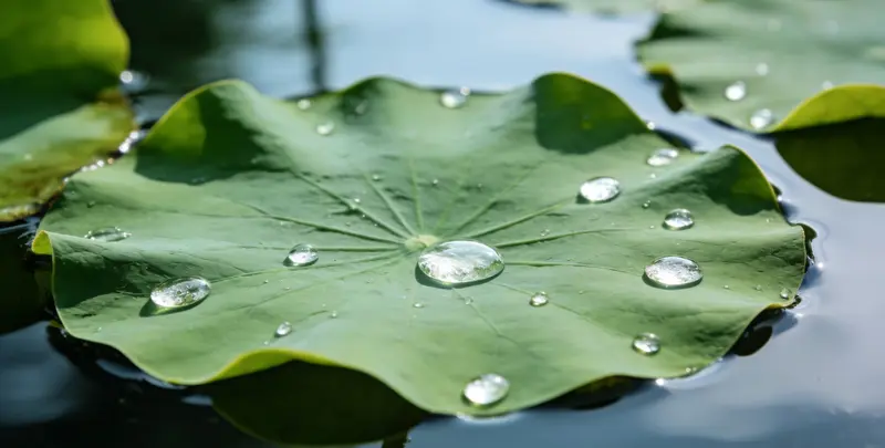 百色乳腺癌21基因mRNA表达分析图片1