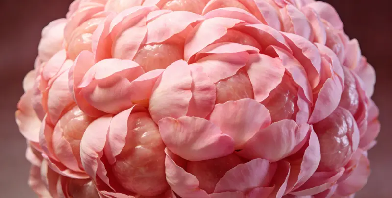 百色BRCA1/2乳腺癌卵巢癌基因检测图片1